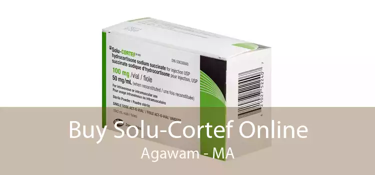 Buy Solu-Cortef Online Agawam - MA