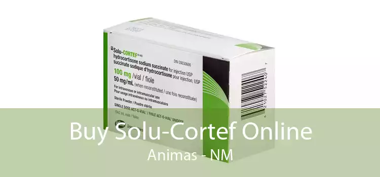 Buy Solu-Cortef Online Animas - NM