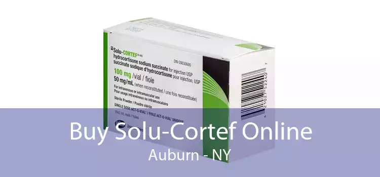 Buy Solu-Cortef Online Auburn - NY