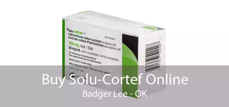 Buy Solu-Cortef Online Badger Lee - OK