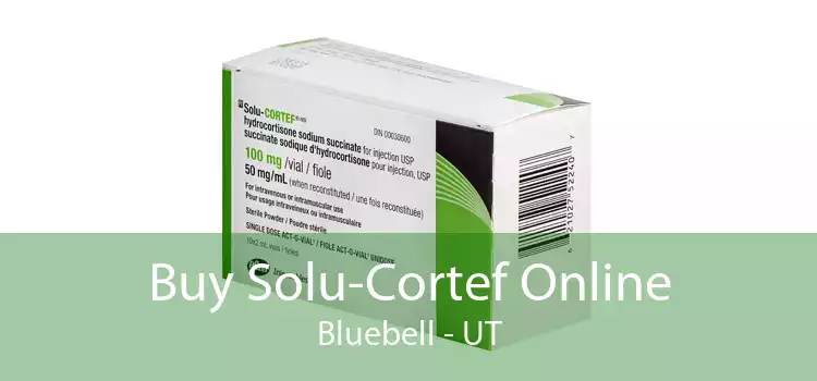Buy Solu-Cortef Online Bluebell - UT