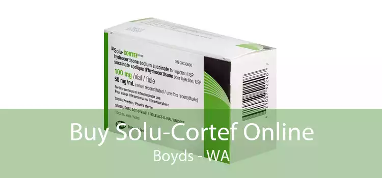 Buy Solu-Cortef Online Boyds - WA