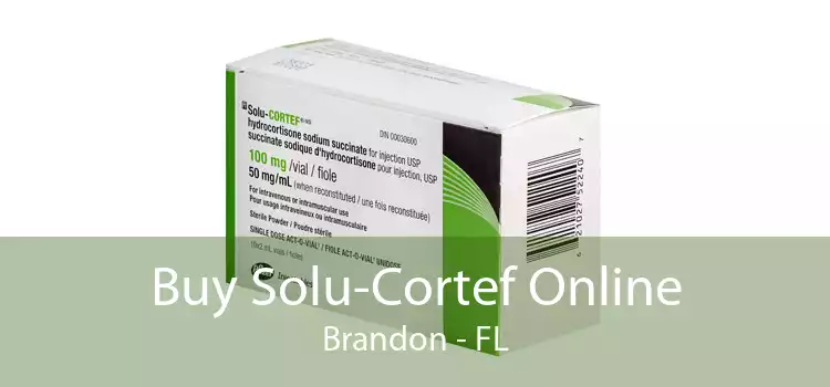 Buy Solu-Cortef Online Brandon - FL