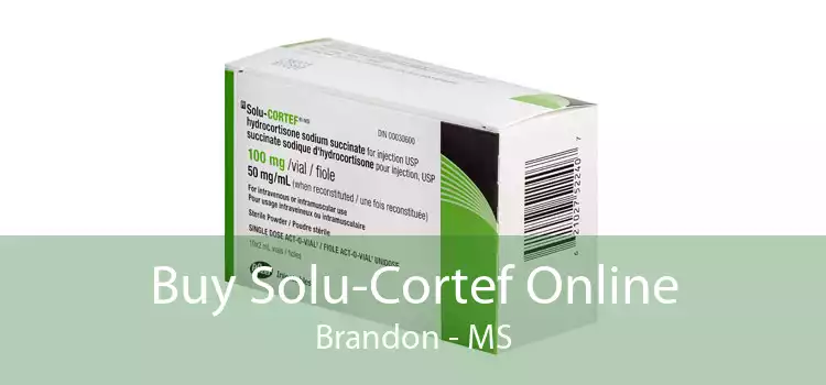 Buy Solu-Cortef Online Brandon - MS