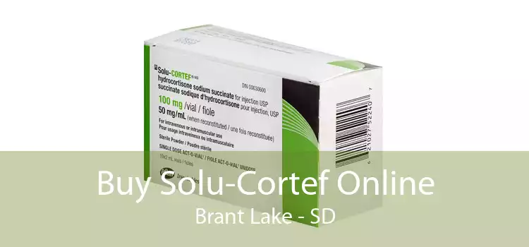 Buy Solu-Cortef Online Brant Lake - SD