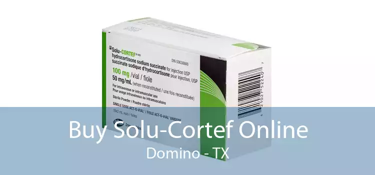 Buy Solu-Cortef Online Domino - TX